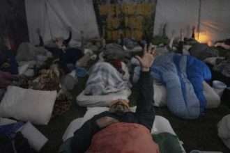How risky Ayahuasca is