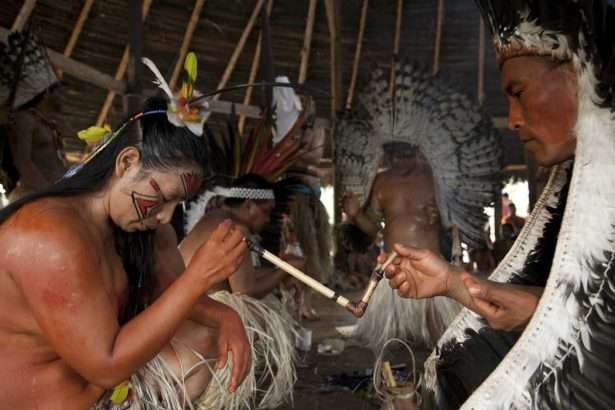rapé vs ayahuasca