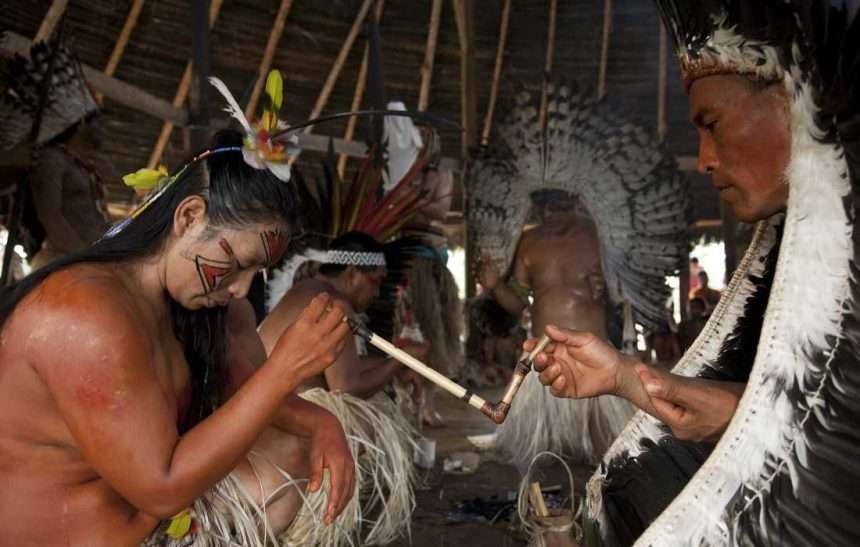 rapé vs ayahuasca
